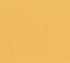 Buttered Corn 8656
